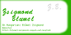 zsigmond blumel business card