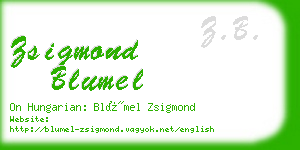 zsigmond blumel business card